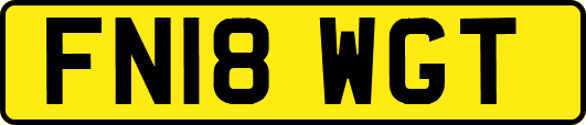 FN18WGT