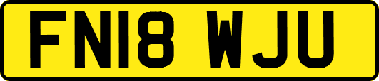 FN18WJU