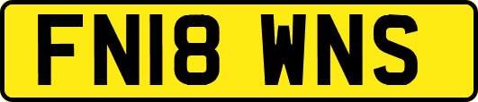FN18WNS