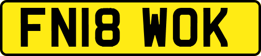 FN18WOK