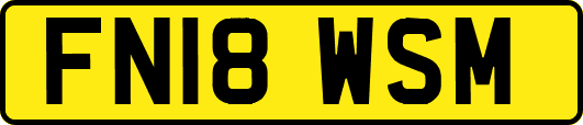 FN18WSM