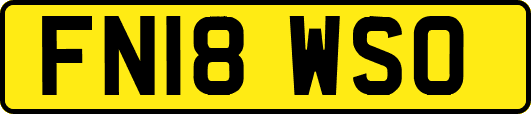 FN18WSO