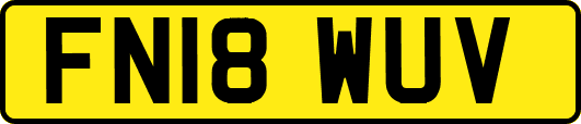 FN18WUV