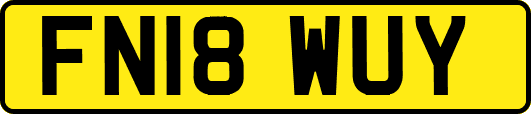 FN18WUY