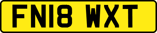 FN18WXT