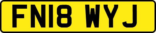 FN18WYJ