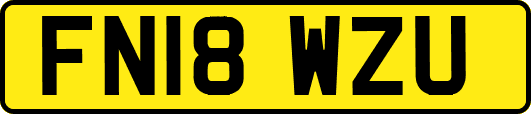 FN18WZU