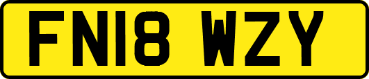 FN18WZY
