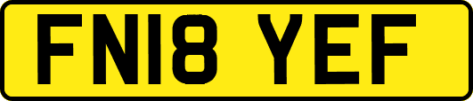 FN18YEF