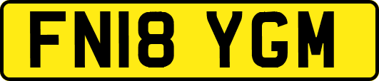 FN18YGM