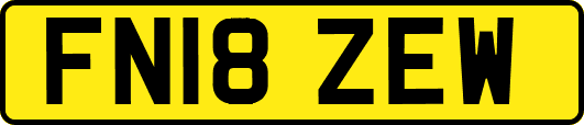 FN18ZEW