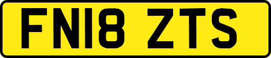FN18ZTS