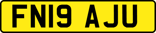 FN19AJU