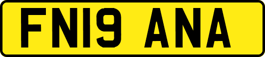 FN19ANA
