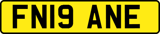 FN19ANE