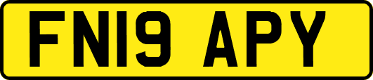 FN19APY