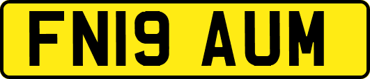 FN19AUM