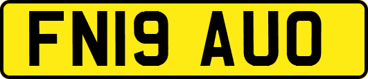 FN19AUO