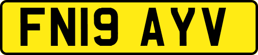 FN19AYV