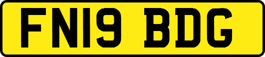 FN19BDG