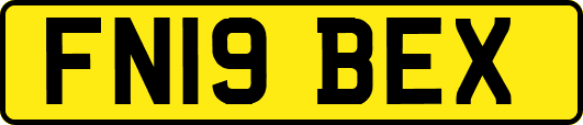 FN19BEX