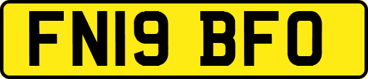 FN19BFO