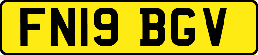 FN19BGV