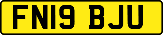 FN19BJU