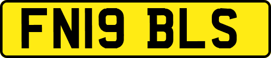 FN19BLS
