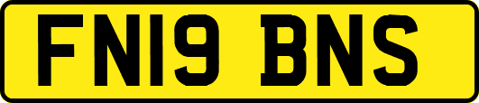 FN19BNS