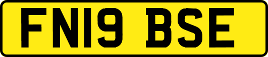 FN19BSE