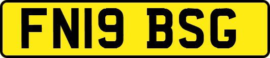 FN19BSG
