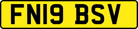 FN19BSV