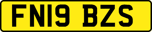 FN19BZS