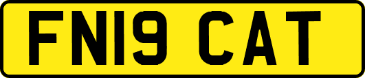 FN19CAT