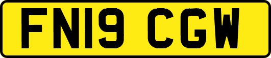 FN19CGW