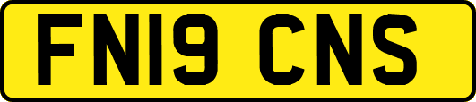 FN19CNS