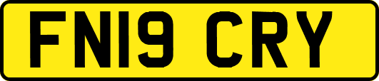 FN19CRY