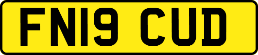FN19CUD
