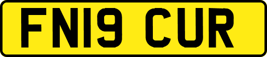 FN19CUR