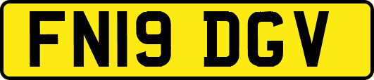 FN19DGV