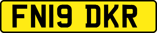 FN19DKR