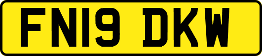 FN19DKW
