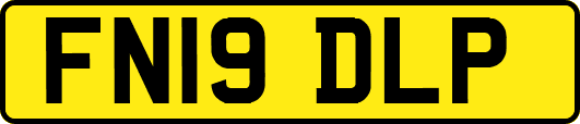 FN19DLP