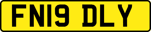 FN19DLY