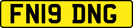 FN19DNG
