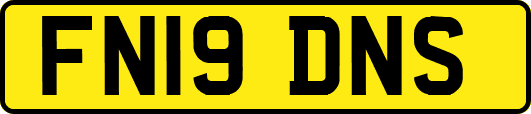 FN19DNS