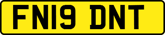 FN19DNT