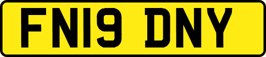 FN19DNY