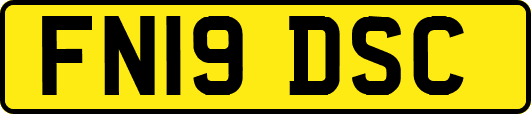 FN19DSC